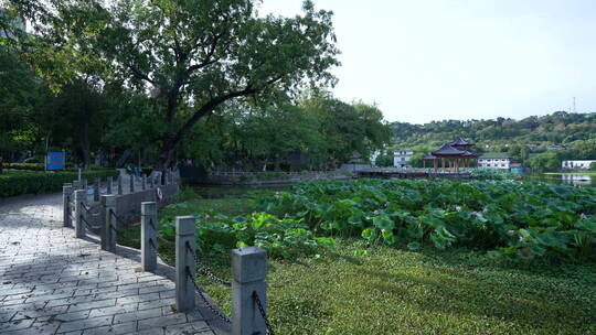 武汉汉阳莲花湖公园风景