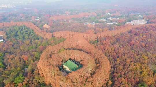 航拍秋季清晨南京中山陵风景区美龄宫