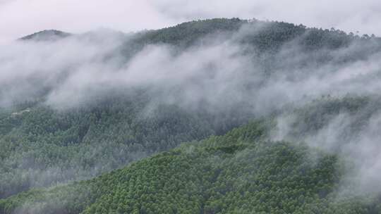 航拍绿色山林云海