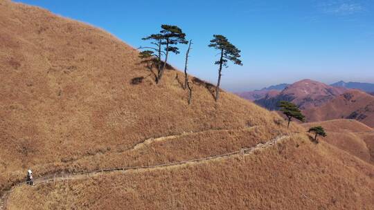 武功山秋景