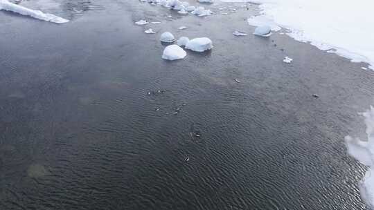 冬季喀纳斯晨雾雪蘑菇雾凇冰河野鸭雪山森林