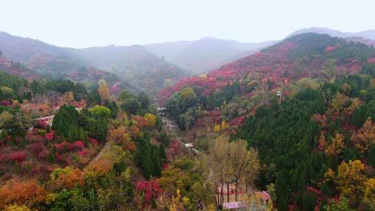 山东济南南部山区红叶谷秋天航拍