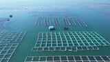航拍海上网箱养殖区海上粮仓高清在线视频素材下载