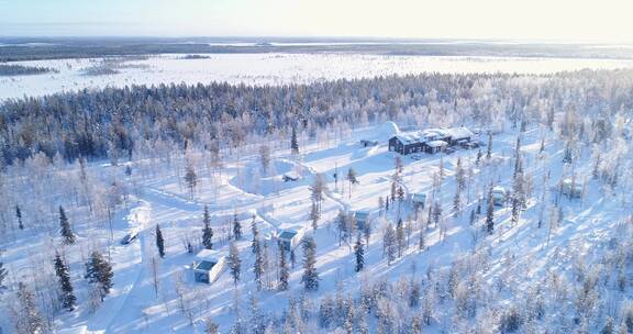 北极牧场的树木和住宿