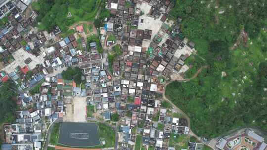 晨洲村生蚝养殖基地