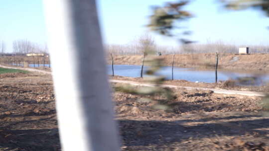 湖 湖边 户外 风景 倒影