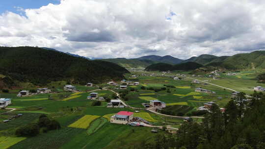 云南松茸航拍空镜蓝天云彩远山小镇709