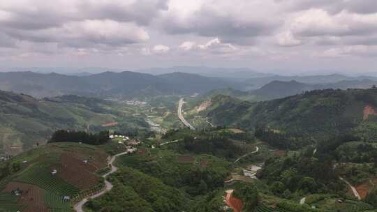 仙人山景区布央茶园航拍