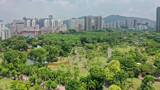 深圳香蜜湖公园