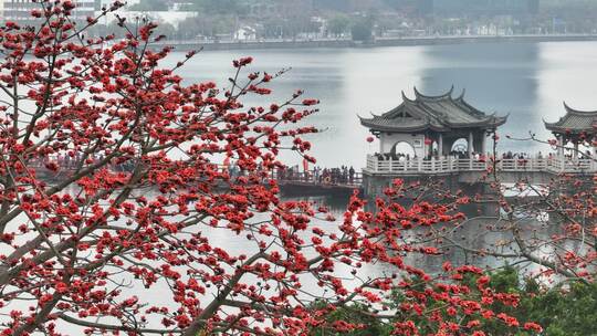 中国广东省潮州市潮州古城广济桥