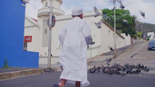 清真寺的鸽子群