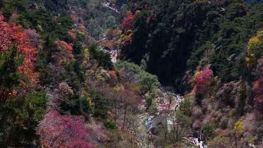 泰山对松山的秋色