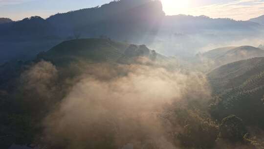 武夷山云海日出