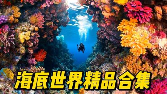 海底世界海洋生物热带海洋