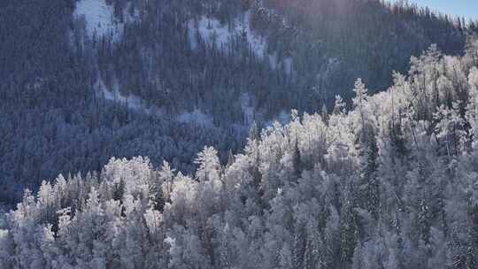 新疆喀纳斯冬季雪景航拍