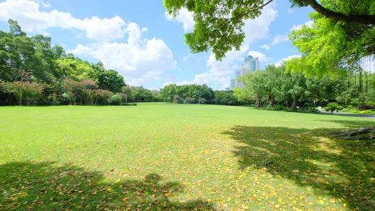 夏天蓝天白云阳光草坪草地绿地树林森林公园