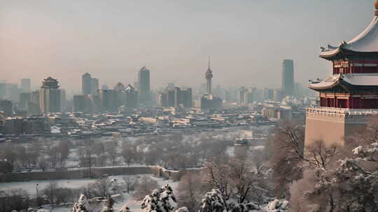 北京冬天雪景