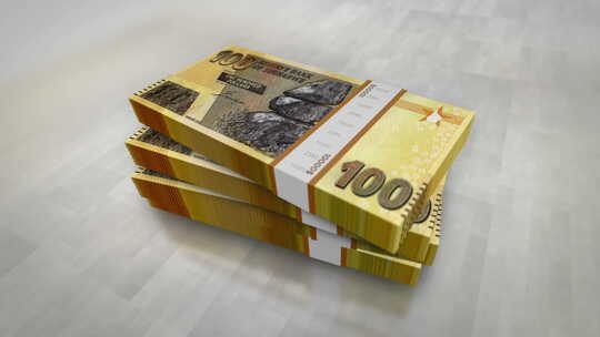 津巴布韦元钞票堆包