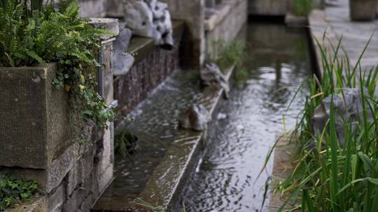 雨后江南凉亭古建筑植物高清实拍