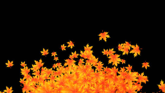 花叶飘落透明背景12视频素材模板下载
