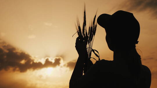 农民在阳光下看着麦穗的剪影