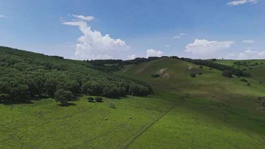 4K草原航拍素材 公路 蒙古包 旅行 宣传片