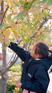 秋天摘取树叶的中国女孩