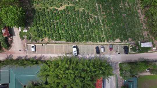 海南白沙茶园俯拍视频素材模板下载