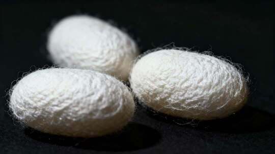 蚕茧缫丝破茧成蝶概念质感特写视频