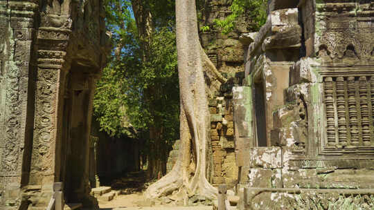 Ta Prohm高棉寺庙与杂草丛生的树根，吴哥，柬埔寨视频素材模板下载