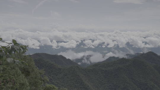 云南茶山