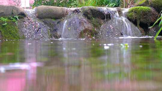 杭州植物园小溪流水风景视频素材