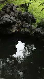 下雨天水波纹池塘水面水滴氛围中式东方禅意