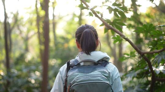 女性背包客森林户外徒步探险旅行背影