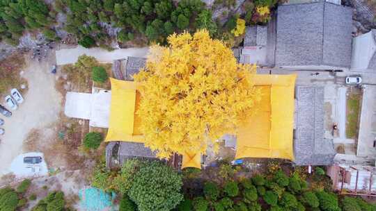 山东济南淌豆寺秋天航拍寺庙