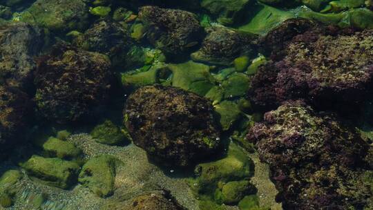 清澈见底的海水 珊瑚礁石沙子海藻海草