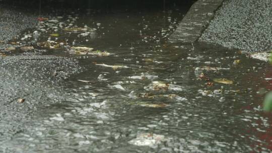 下雨雨滴水坑特写成组镜头