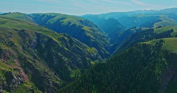 绿色的高山峡谷