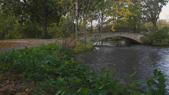 公园桥下流淌的小溪。