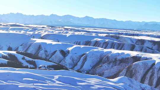 4k航拍冬季雪后祁连山草原