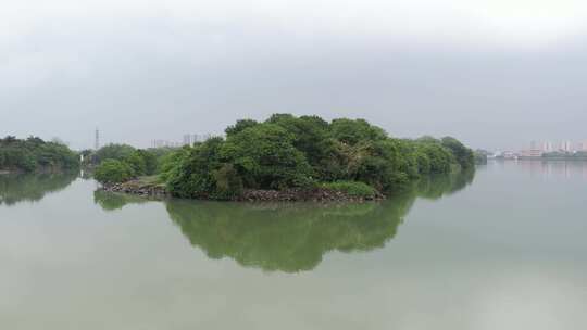 河流生态景观航拍