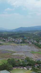 竖版航拍南方丘陵山川农业种植农田