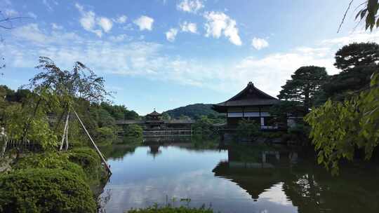 日式花园庭院绿植意境禅学宁静河边