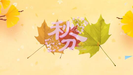 黄色落叶秋分节气视频ae模板