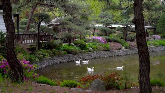 景区湖水风景