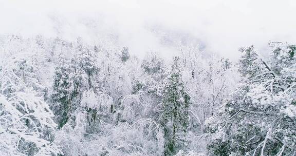 冬季山林雪景航拍