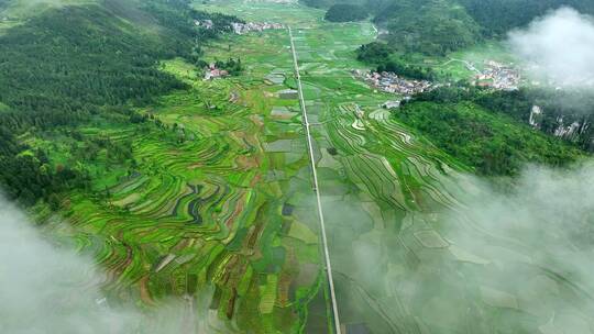 大美河山村庄梯田航拍4k