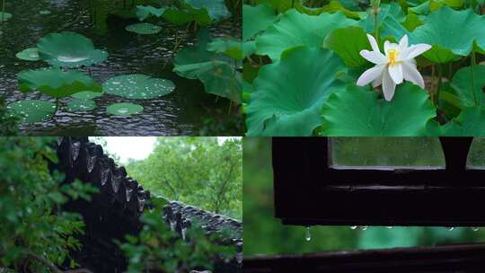 清明雨景屋檐园林雨天水滴雨滴宣传片
