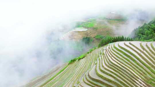 航拍广西桂林龙脊梯田高山云海壮丽风景