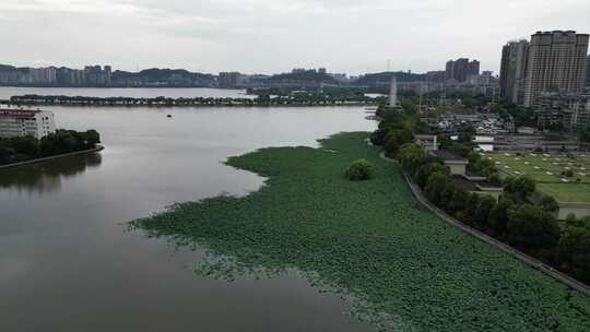 航拍湖北黄石城市公园风光